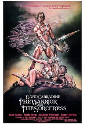 The Warrior and the Sorceress