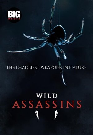 Wild Assassins